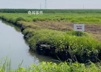 辽宁大片黑土地遭采煤沉降变洼地 村民无法正常耕种耕地被大面积荒废