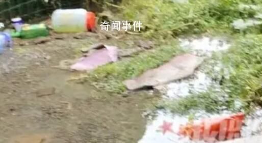 洪水过后女子家中密密麻麻全是鱼 渔获满满