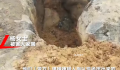 女子遇害被埋尸山间 嫌犯曾假装寻人