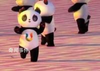 开幕式显眼包“蓉宝” 吉祥物蓉宝全程蹦蹦跳跳