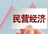 促进民营经济做大做优做强