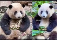 花花洗澡全国人民都知道了 网友：看到花花心里面立刻就放松了