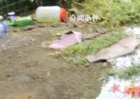 洪水过后女子家中密密麻麻全是鱼 渔获满满