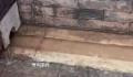 故宫辟谣600年不积水 是现代科技惹的祸吗