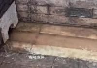 故宫辟谣600年不积水 是现代科技惹的祸吗