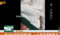 芭比被日本大规模抵制 引发日本网友反感和愤怒