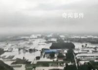 航拍涿州洪水:道路被淹仅剩树冠