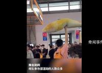 “大黄鱼抱枕”被炒到666元