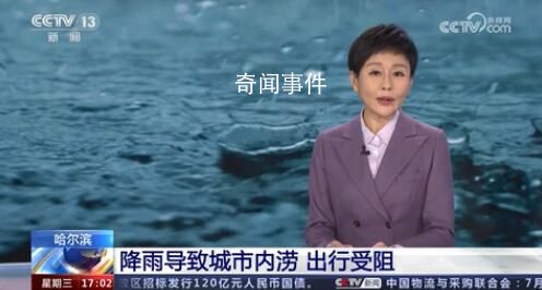 哈尔滨部分地区被淹:猪游泳自救