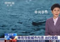 哈尔滨部分地区被淹:猪游泳自救