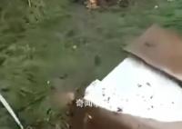媒体谈河道里捞空调:无异于趁灾打劫