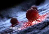 杀死所有实体瘤的神药要来了吗