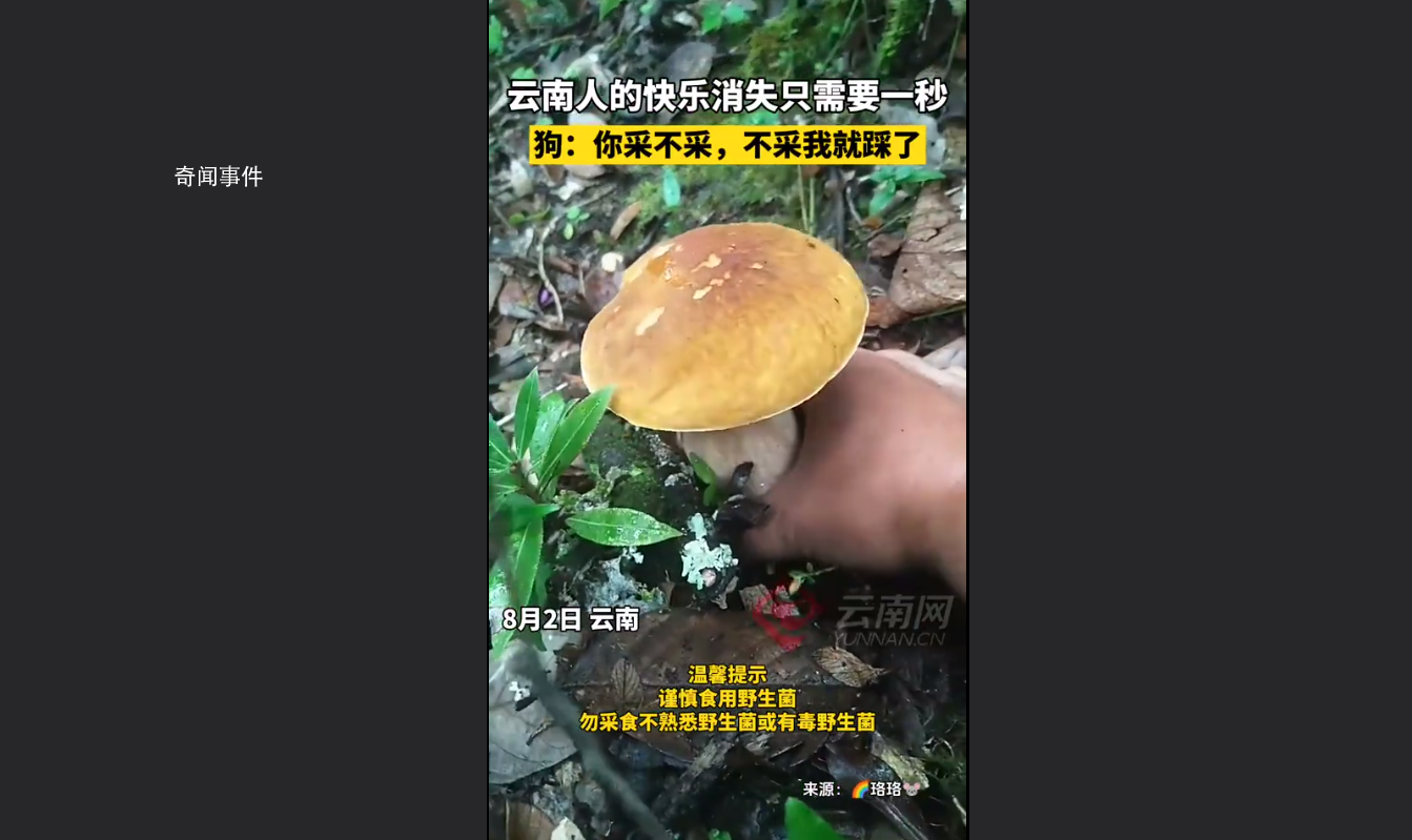 男子采菌子被截胡 狗 你不踩我踩了