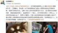 托熟人养狗当天被卖掉宰杀 这究竟是怎么回事