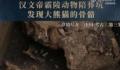 汉文帝霸陵殉葬坑发现大熊猫骨骼 用国宝大熊猫陪葬