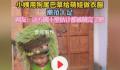 小姨用狗尾巴草给萌娃做衣服 网友：这方圆十里估计都被薅完了吧