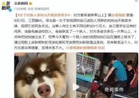 托熟人养狗当天被卖掉宰杀 这究竟是怎么回事