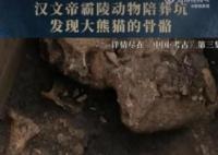 汉文帝霸陵殉葬坑发现大熊猫骨骼 用国宝大熊猫陪葬