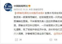 顾客吃面发现碗里有完整死老鼠 涉事餐馆已停业进行整改