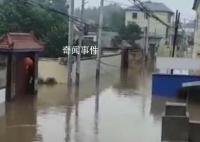 女记者为涿州成为“汪洋”哽咽