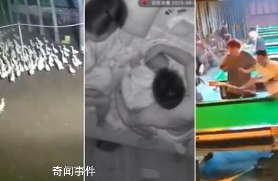 地震瞬间:鸭跑狗跳货架倒