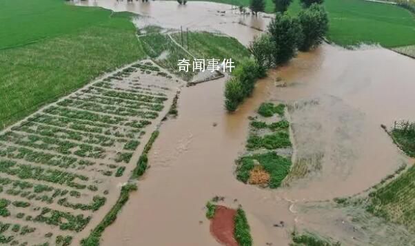 五常农民:水稻全完了 淹了三个乡镇