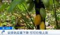 巧克力将涨价 巧克力即将消失是真的么