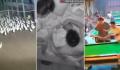 地震瞬间:鸭跑狗跳货架倒