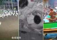 地震瞬间:鸭跑狗跳货架倒