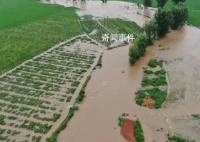五常农民:水稻全完了 淹了三个乡镇