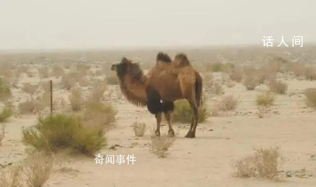 国内四大无人区到底有多恐怖 中国四大无人区在哪里