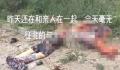 内蒙古一货车冲进集市十多人伤亡 路上多处有血迹