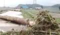 吉林舒兰暴雨已致14人遇难 1人失联