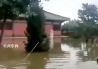 文保所长游泳进古寺查看泡水情况 视频引发舆论关注