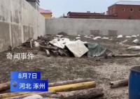 涿州一养羊场上千头羊所剩无几 大部分羊被冲走了