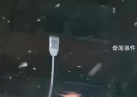 山东地震河南燕子满天飞?地震局回应
