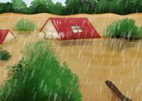 暴雨洪涝后如何做好个人健康防护 暴雨后如何做好家庭消毒
