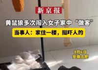 黄鼠狼多次闯入女子家中 家住一楼挺吓人的