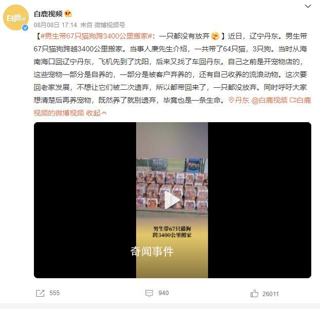 男生带67只猫狗跨3400公里搬家 不想让它们被二次遗弃所以都带回来了