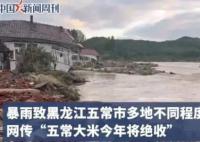 种植户称五常大米未达到绝收程度 担心会被外界误解