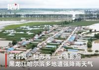 黑龙江双城遭洪水包围 村支书哽咽