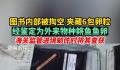 图书被掏空内藏鳉鱼鱼卵 均属全国首次查获的外来物种
