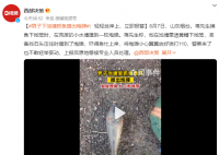 男子下池塘抓鱼摸出炮弹 吓得急忙上岸拨打110