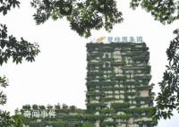 房企碧桂园提出四大自救措施 承诺将坚守责任