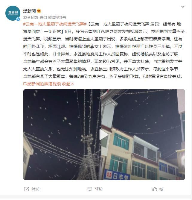 云南一地燕子漫天飞舞 地震局回应