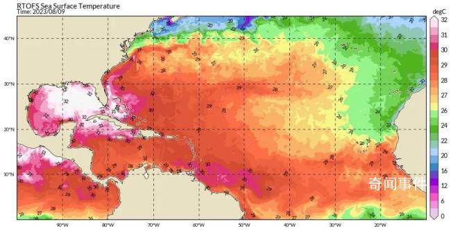 全球大洋或有灾难?专家分析