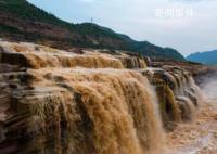 降雨致黄河壶口瀑布现“金瀑飞流” 引了众多游客前来观赏