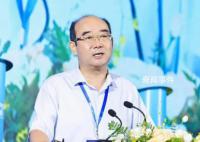 中国已成全球生育率最低的国家之一 积攒了30年的人口负增长能量需要释放