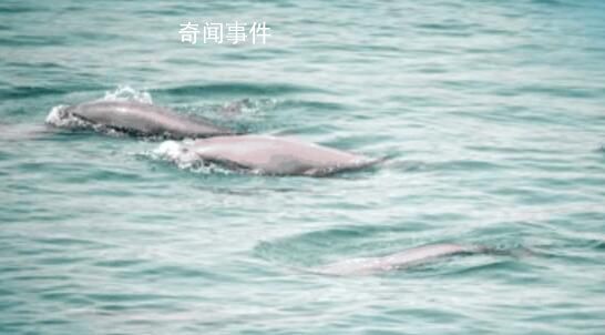 欢迎“打卡”长江蝶变