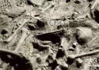 白起怎么埋的40万赵兵 白起作为统帅到底有多强